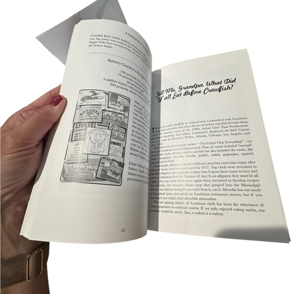 It Happens in Louisiana Book by Sam Irwin - Picture 2 of 5